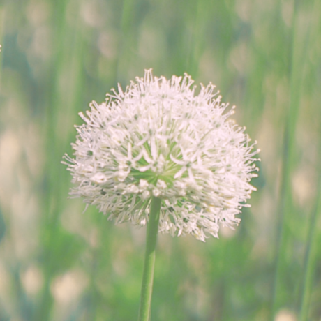 octelly@social.owo.digital